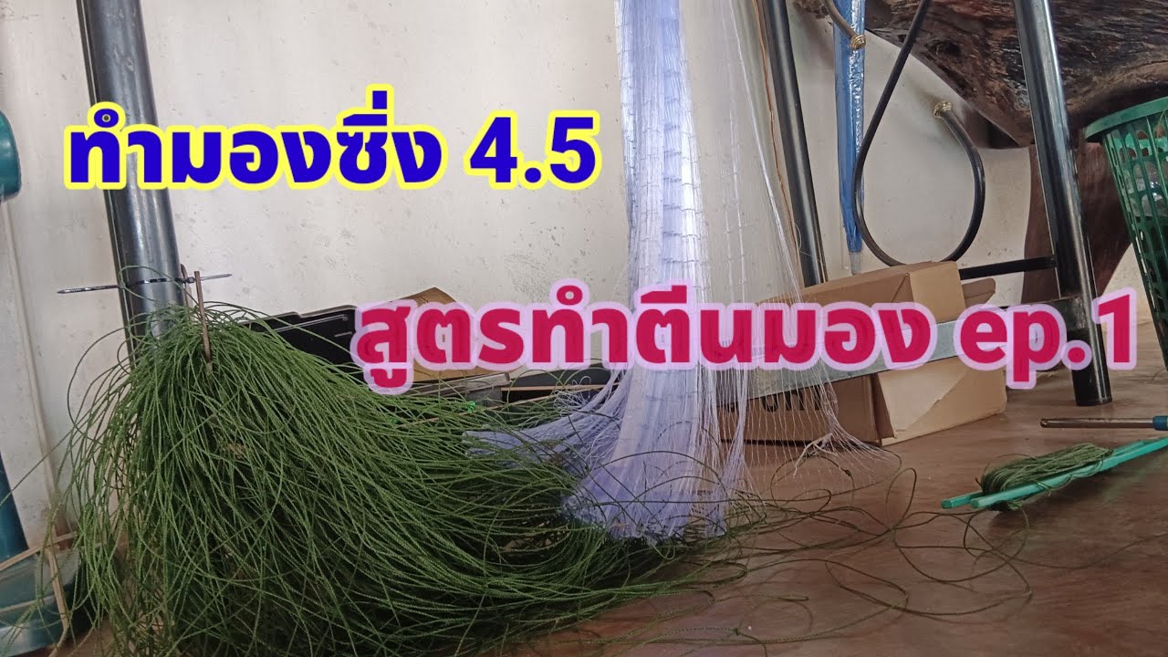 ทำตาข่ายดักปลา,ทำมองซิ่ง4.5 สูตรทำตีนมอง ep.1  #หาปลา #วิถีชาวบ้าน #ทำข่ายดักปลา #วิธีทำมองซิ่ง