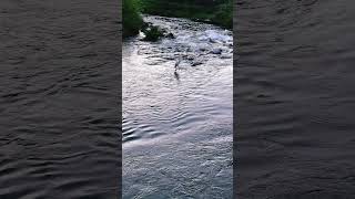 Gracias Señor Por Tus Bondades