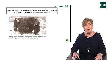 Module 6. Part 3: Language, Cognition and Emotional(...)