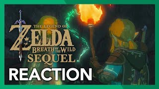 The Legend of Zelda: Breath of the Wild Sequel Reaction