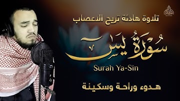 تلاوة هادئة تريح الاعصاب والعقل والقلب ❤️ بصوت جميل جدا هدوء وراحة وسكينة || القارئ محمد هشام