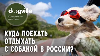 Куда поехать на отдых с собакой в России?