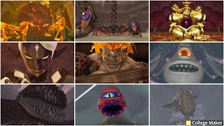 The Legend of Zelda: Skyward Sword HD - All Bosses