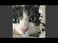 猫よありがとう (カラオケ)