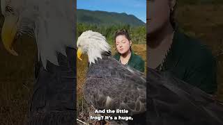 Incredible Transformations!! 💀 🤐 #AnimalTransformation #Story #Transformation #Animal #BigAnimals