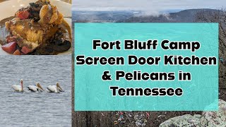 Road Trip: Fort Bluff Camp, Screen Door Kitchen, & Pelicans in TN by Cookin' with Bobbi Jo 74 views 2 months ago 6 minutes, 37 seconds