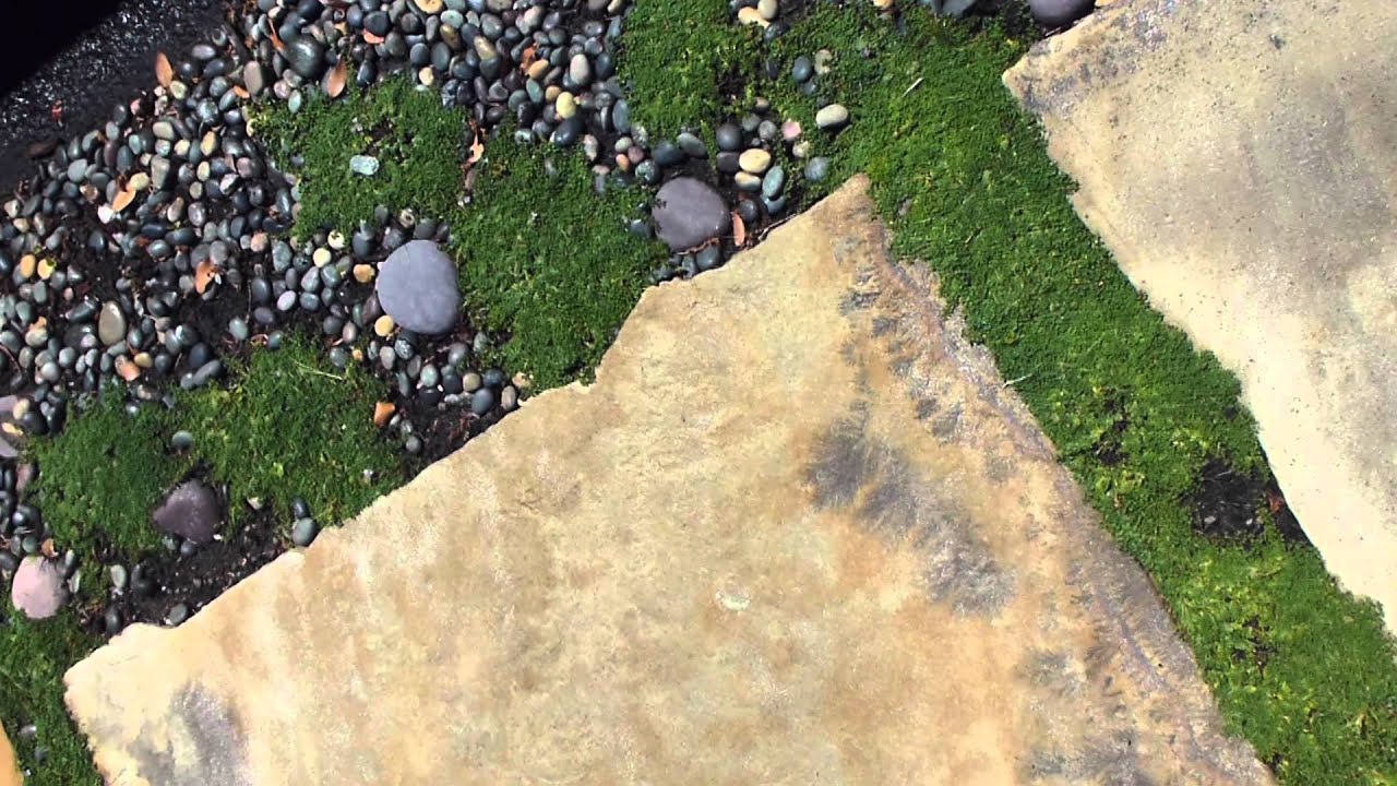 Moss Between The Rocks At 366 You Moss Between The Rocks At 366