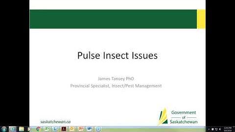 Pulse Agronomy Webinar - Insects and Scouting in Pulse Crops