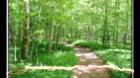 آيات من سورة السجدة من مزامير آل داوود