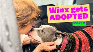 Winx gets ADOPTED Part 2 | #americanstaffy