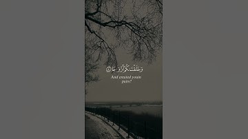 {أَلَمْ نَجْعَلِ الأَرْضَ مِهَاداً} بصوت القارئ #عبدالرحمن_مسعد #قران_كريم 🎧🤍