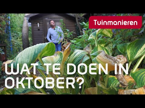 Video: Tuinversorging In Die Herfs