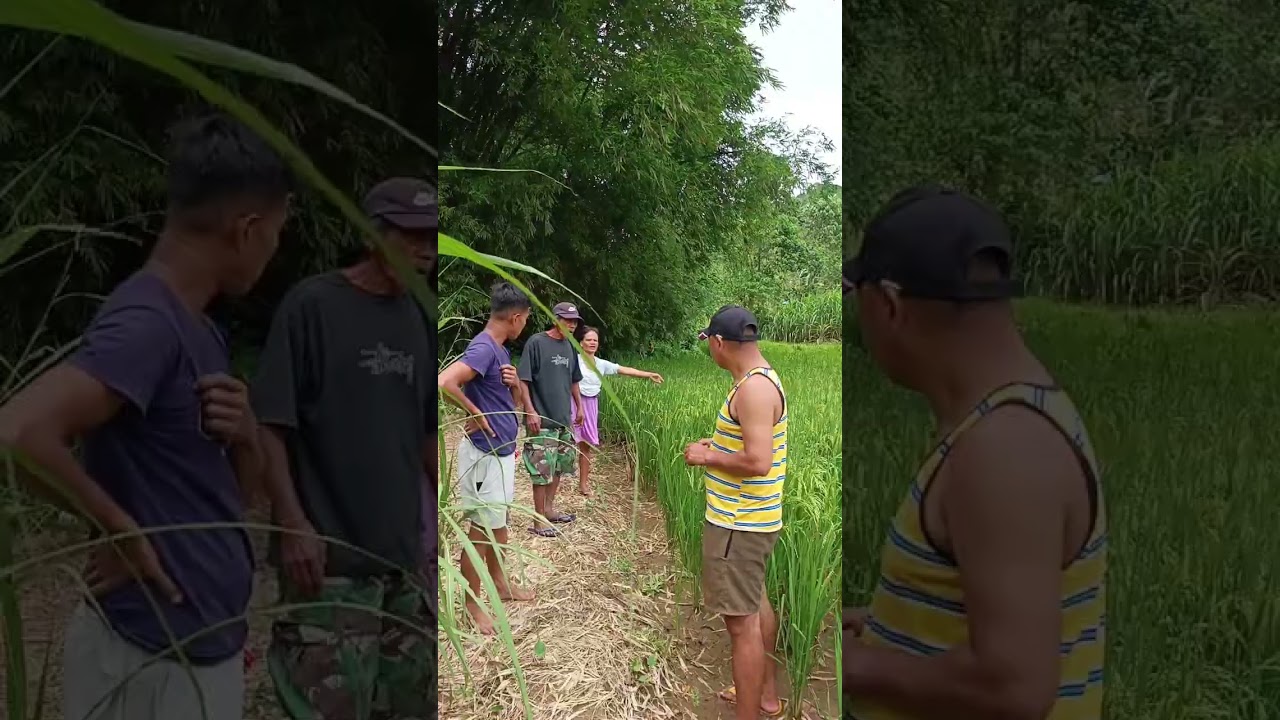 Ilonggo nga ulogtasan. 