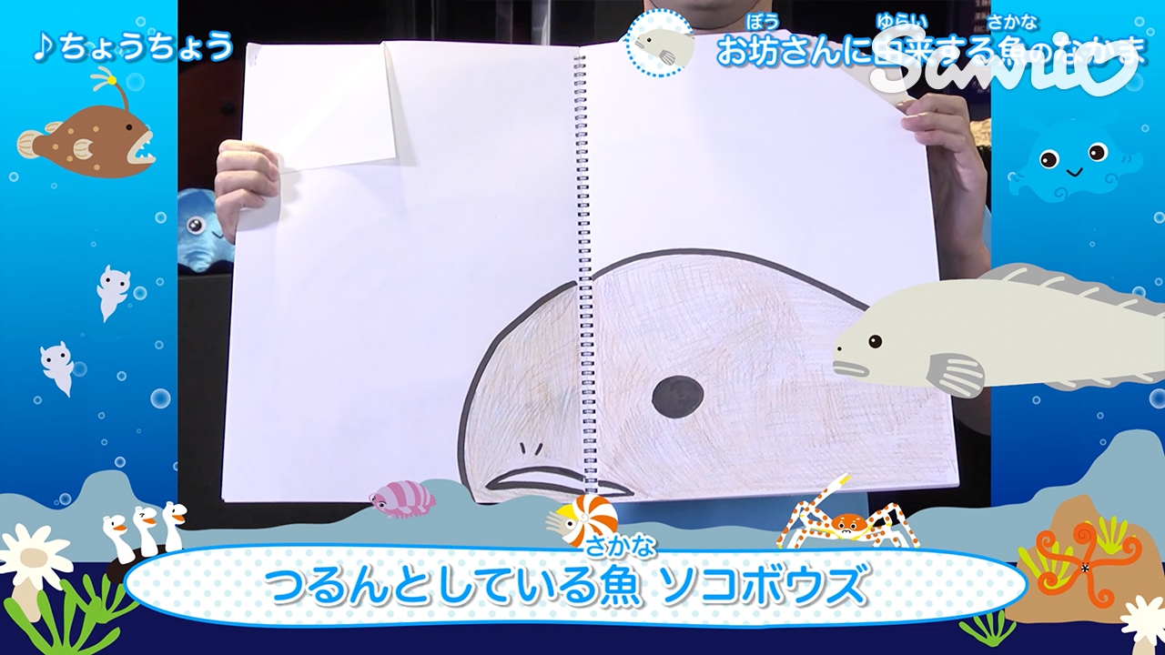 うたっておぼえよう Shinkaizoku お坊さんの名前が由来の魚 Youtube