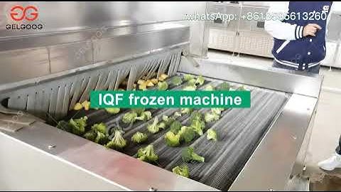 Frozen Vegetable Processing Plant Broccoli Cleaning, Blanching, Freezing And Packaging Machinery