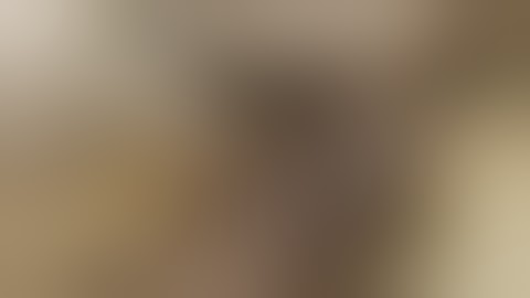 Cat Organs Part 1 of 2.wmv