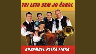 Video thumbnail of "Ansambel Petra Finka - Tri Leta Sem Jo Čakal"