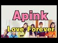 【中日雙語字幕】Apink-Love Forever