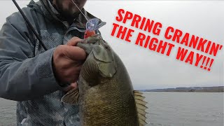 Spring Crankbaits - EVERYTHING You Need to Know