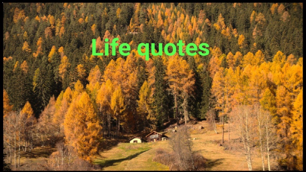 Inspirational quotes. Life quotes. YouTube