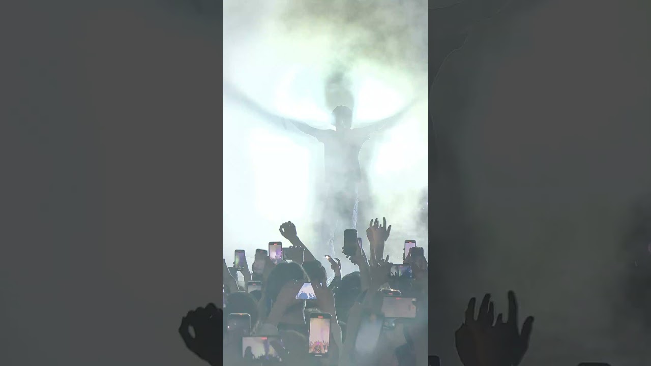 9mice - Narcotic live