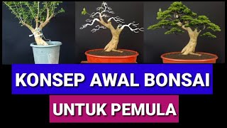 INITIAL CONCEPTS OF BOUGENVILLE SINGAPORE BONSAI