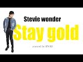 RYOEI Cover assort vol.28『Stay Gold』Stevie Wonder