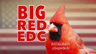 видео: Розыгрыш-сюрприз от BigRed состоится в воскресенье 26 октября! картинка: Розыгрыш-сюрприз от BigRed состоится в воскресенье 26 октября!