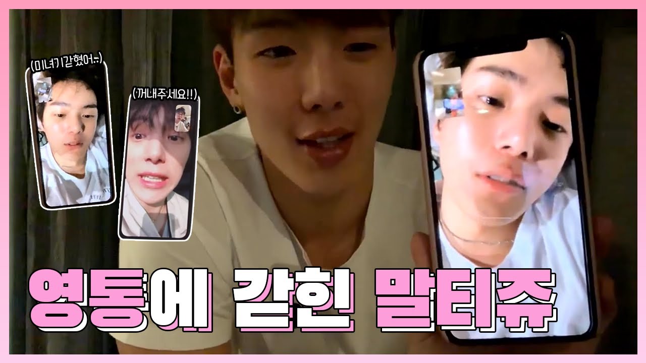 멤버들과 영통하는 민혁이🐶 말티쥬 갇혔어!! 꺼내주세요!!│몬스타엑스 셔누 민혁 기현