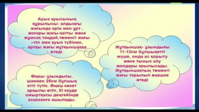 Хатшы қыз бастығын үстелдің астынан жалады