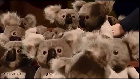 The Legend of Spyro and Ryan: A New Beginning Part 4: Zoo Night