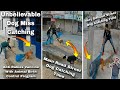 Very Difficult Street Dog Catching Field । Dog Sound #vlog #dog #rescue #catching