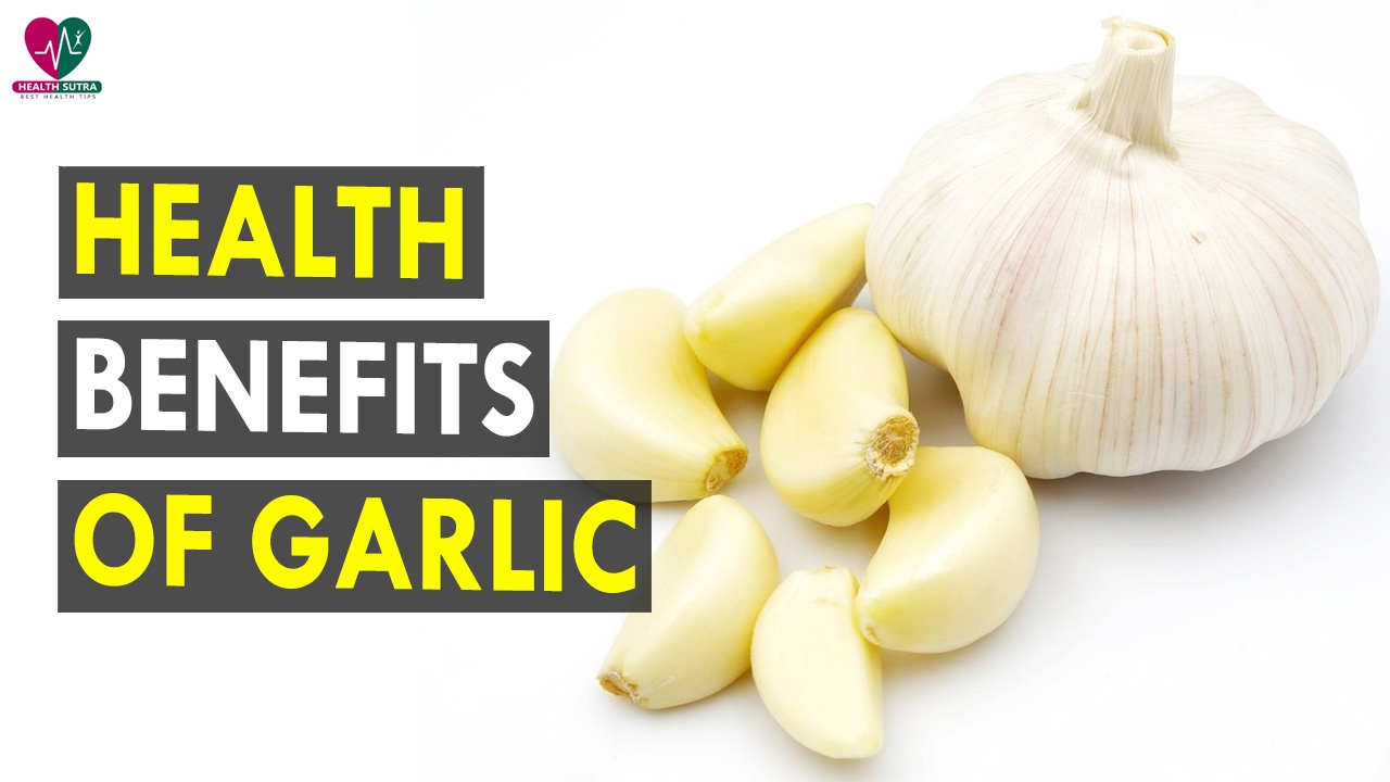 Health Benefits Of Garlic - Health Sutra - Best Health Tips garlic benefits for dogs