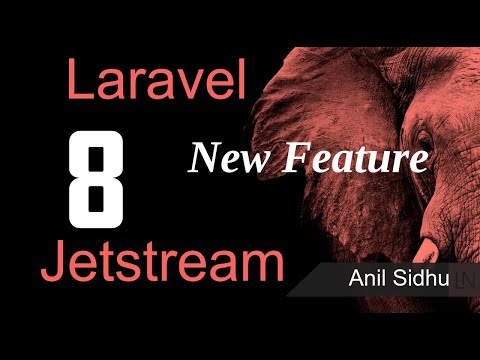 Laravel 8 jetstrem
