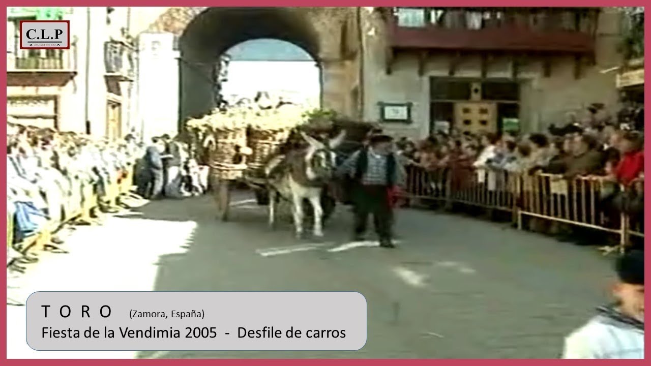 Toro (Zamora-España).  Fiesta de la Vendimia 05. Desfile de carros