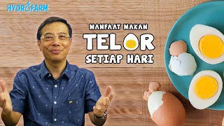 11 MANFAAT TELUR REBUS SETENGAH MATANG (CARA DIET DENGAN KONSUMSI TELUR REBUS)