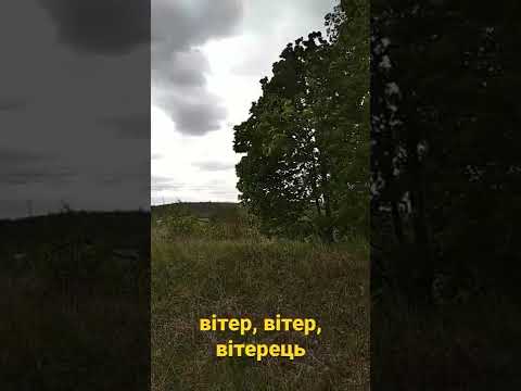 Вітер вітер вітерець