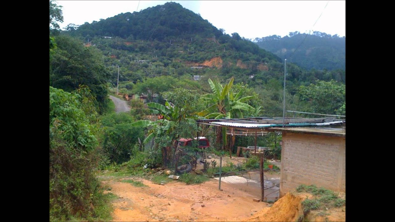EL PORVENIR,LA REFORMA,PUTLA, OAXACA.