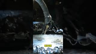 How This 250 Robotic Swan Works ?
