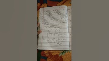 Chapter 3 Life Processes in living organism part 2 Exercise Std 10th science 2