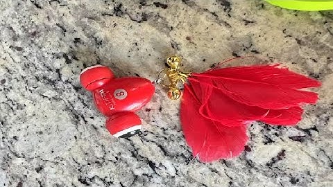 Duasdne Interactive Cat Toys The Kitifish Rechargeable Automatic Cat Toy for Indoor Cats Review