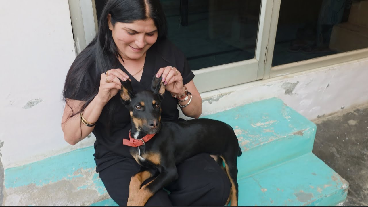 Ruru’s Priceless Reaction After Seeing Me Again 😭🐾 | #dog #dogreaction #vlog #trending #petlover