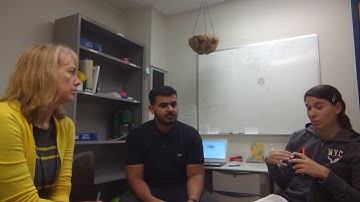 Focus on Form vs Focus on Forms definitions