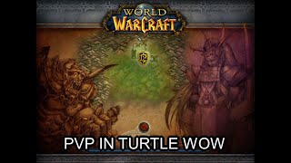 Turtle WoW PvP in 40-49 Warsong Gulch | Almost full twink enemy team | Retribution Paladin