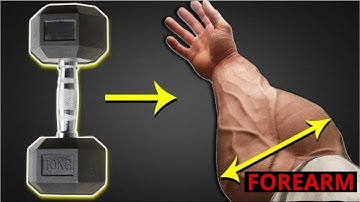 BUILD HUGE FOREARMS with These 8 Perfect Exercises | Dumbbell Only