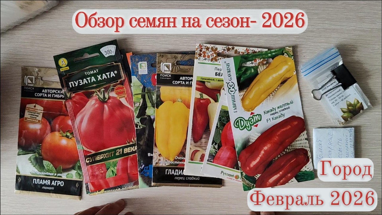 Обзор семян на 2026 год. Первые посевы.