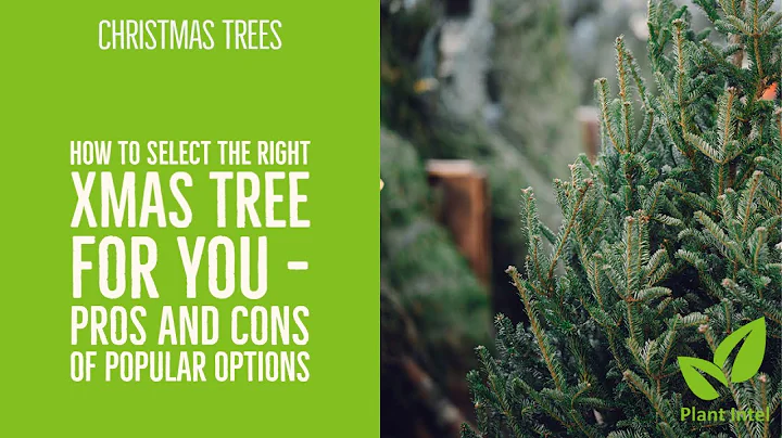 How to select the right Xmas tree for you - pros and cons of popular Christmas tree options