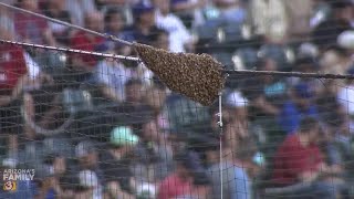 RAW VIDEO: Bee swarm delays Arizona Diamondbacks game