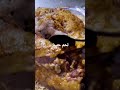 لحم حنيذ بالطريقه اليمنية