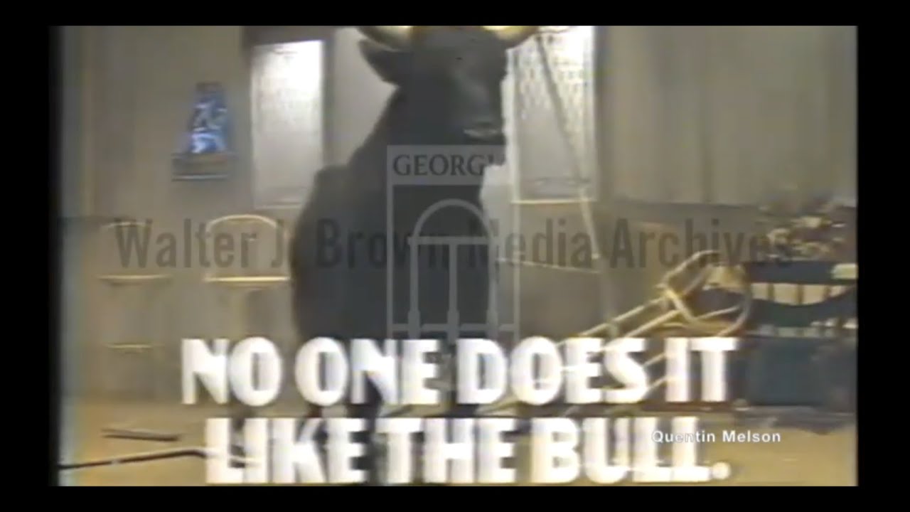 Merrill the Bull (April 14, 1982)